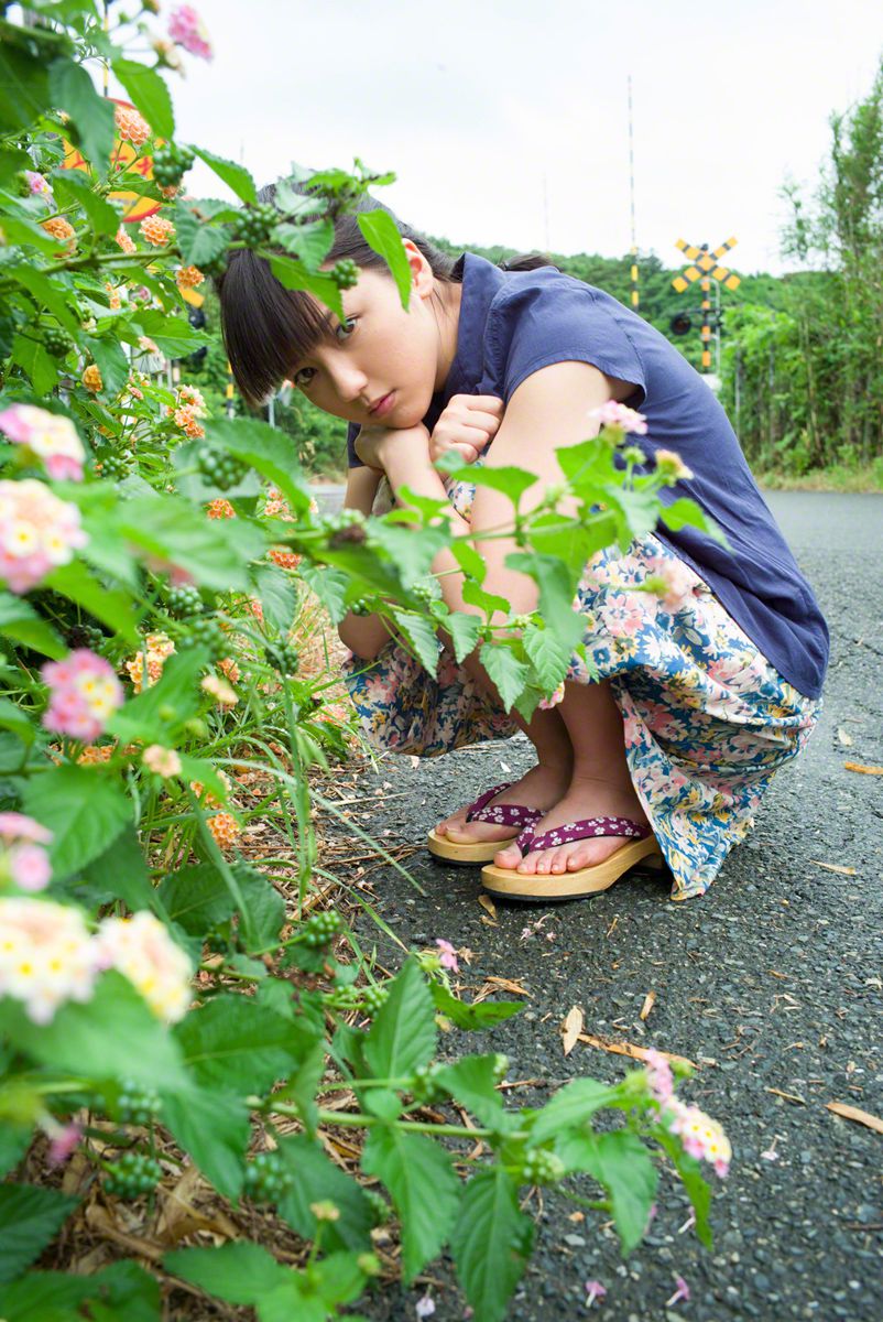 淮北为枳